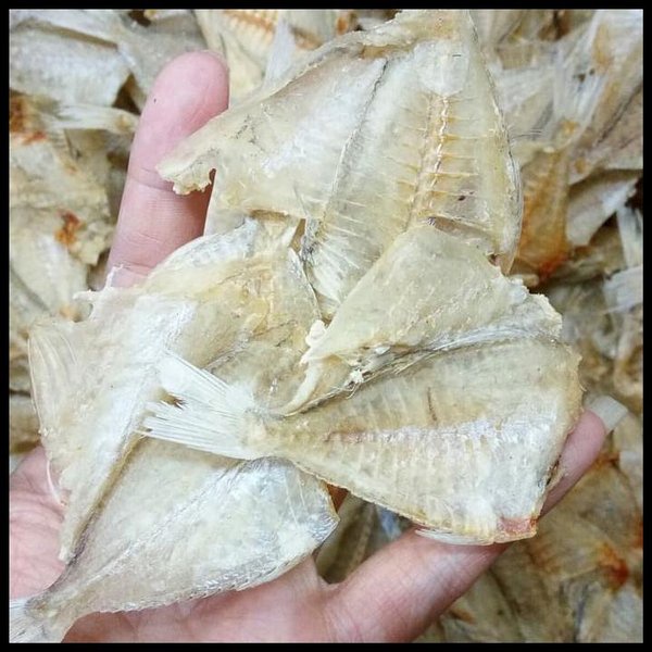 

[DAPUR EXPRESS] Ikan Asin Kapasan 100 gram