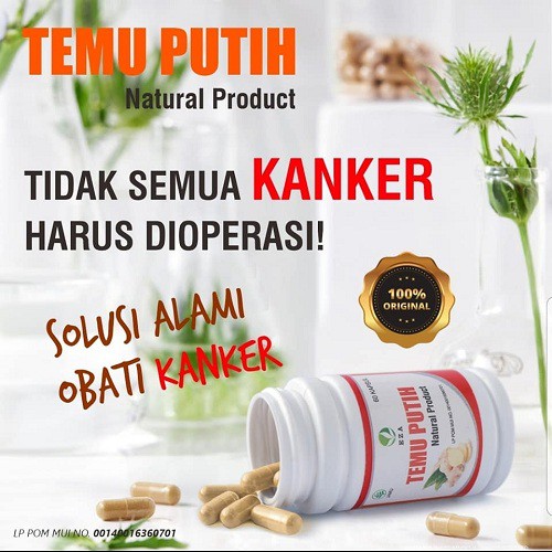 

Kapsul Temu Putih / Mengobati Kanker, Miom, Peradangan