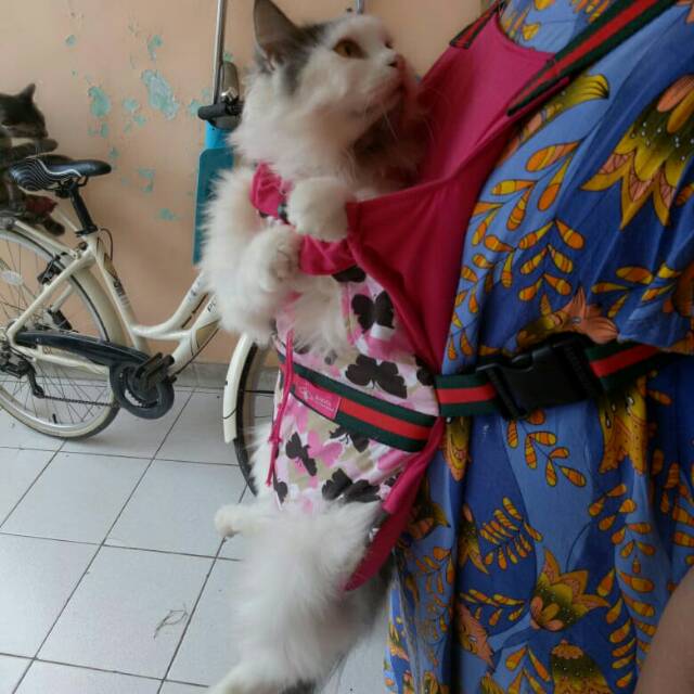 Gendongan kucing motif kupu-kupu tas kucing murah meriah size S-XL