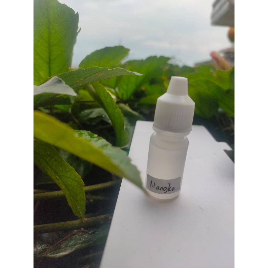 BIANG ESSEN MURNI NANGKA 5ML