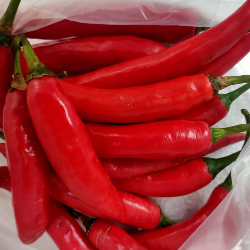 cabe merah gede 100gram