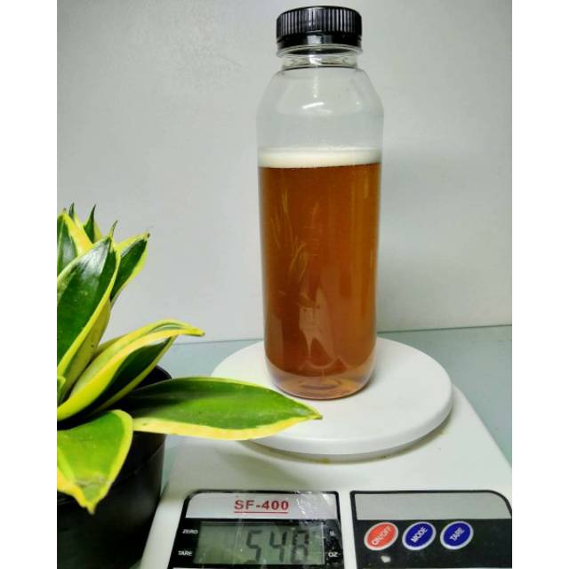 

Madu Asli Lebah Apis Mellifera