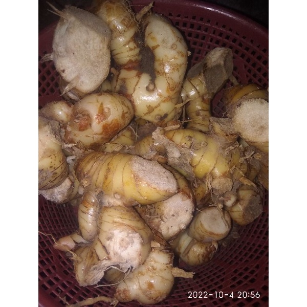 

kunyit ,laos + jahe dalam satu paket