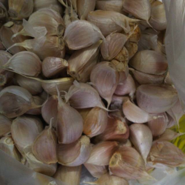 

Bawang putih kuting berkualitas. Yang mau bawang putih nya siap kirim . Yuk di rumah ajaaa