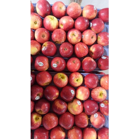 

Apel Gala Import super duper manis