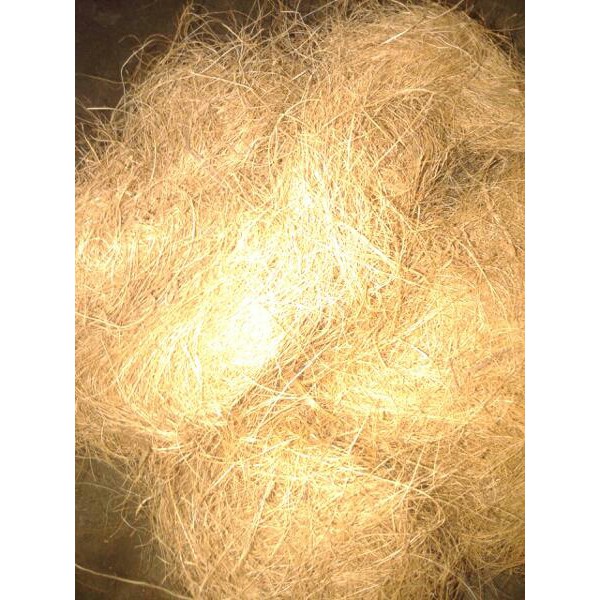 Media Tanam Anggrek Serabut Kelapa / Sabut Kelapa