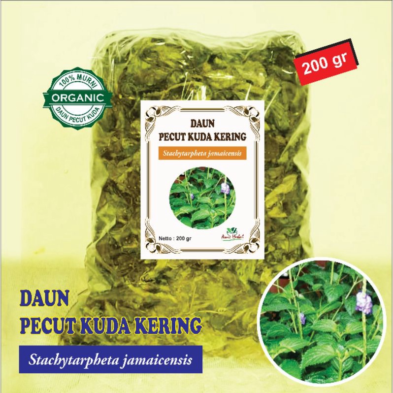 

daun pecut kuda/herbal daun pecut kuda/Stachytarpheta Jamaicencis. 200 gram