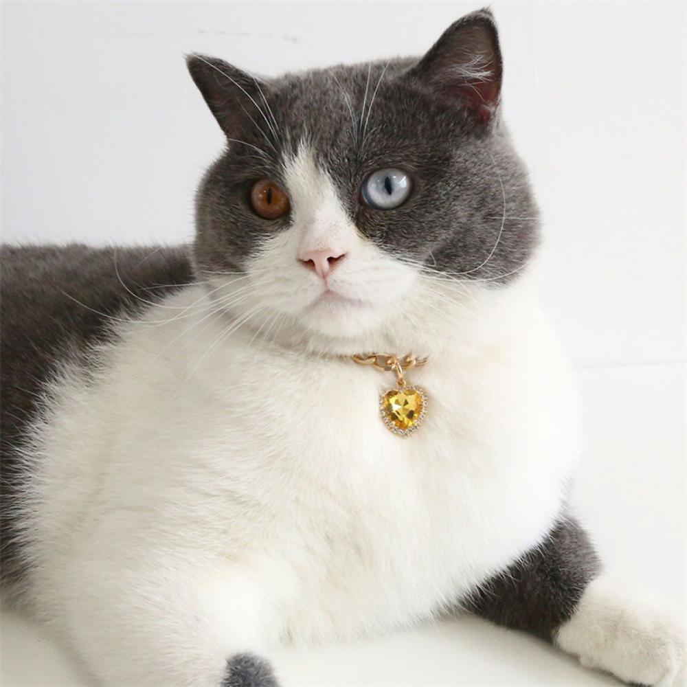 Timekey Kalung Collar Anjingkucing Peliharaan Bentuk Hati Hias Kristal Berlian Imitasi I1K8