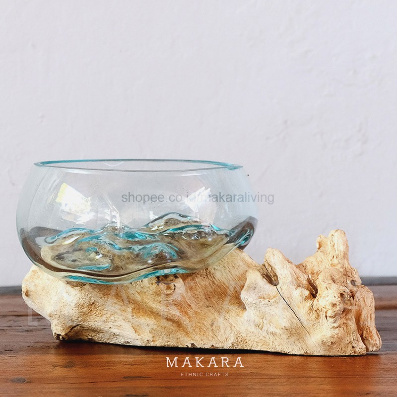 Glass on Wood Bowl Size M Pot  Kaktus Vas Kaca  Pot  