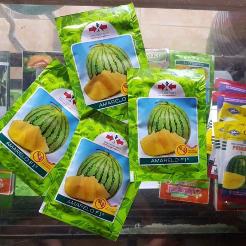 Semangka Kuning Tanpa biji AMARELO F1 360biji kuning non biji | Shopee