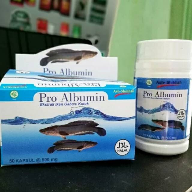 Kapsul pro albumin ikan gabus kutuk