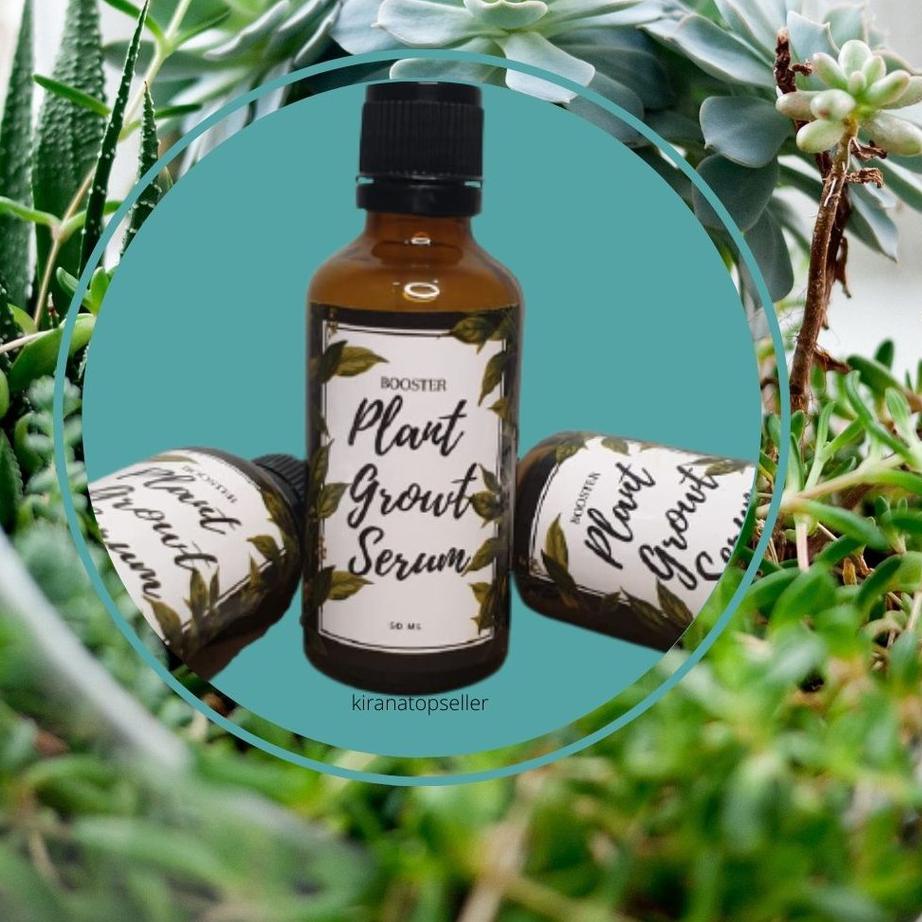 ☛ Pupuk Tanaman Hias lebih ampuh dari albero aglonema organik leafshine workplant growth booster ➯