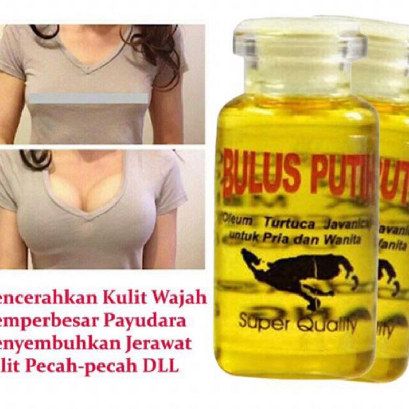 PROMO MURAH [BISA COD] Minyak Bulus Putih Herbal Original 100% Perbesar Payudara  &amp; Mencerahkan