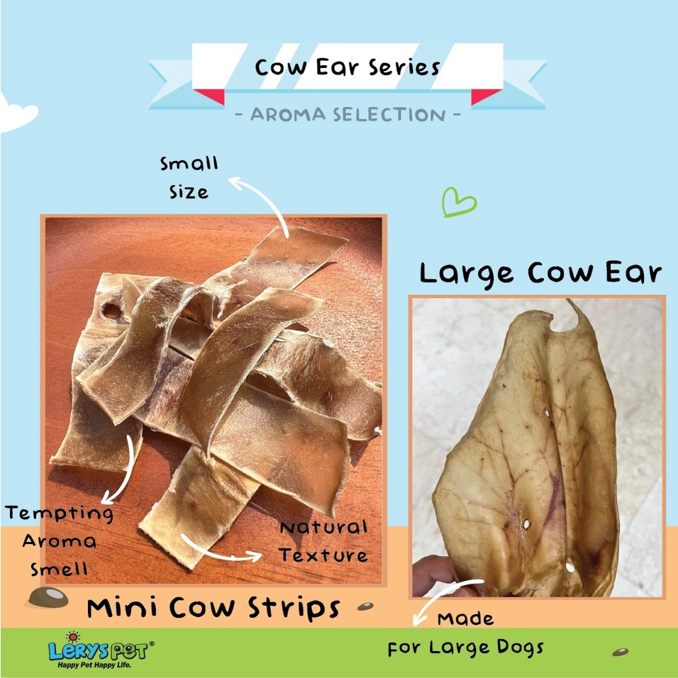 Jual Cow Ear | Kuping Sapi | Snack Anjing | Jajanan Anjing | Dog Chew ...