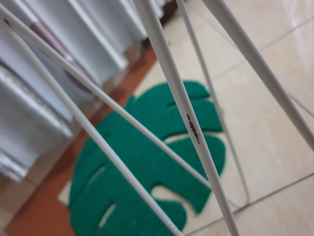 Standing Pot Besi 70cm Diameter 18cm / Rak Bunga Besi / Standing Planter