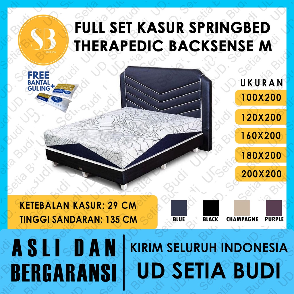 Set Kasur Therapedic Backsense M Medium Firm