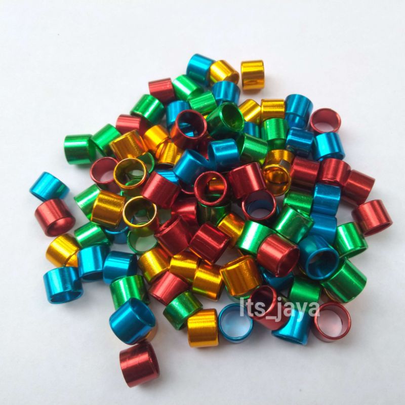 RING BURUNG DERKUKU DAN PUTER