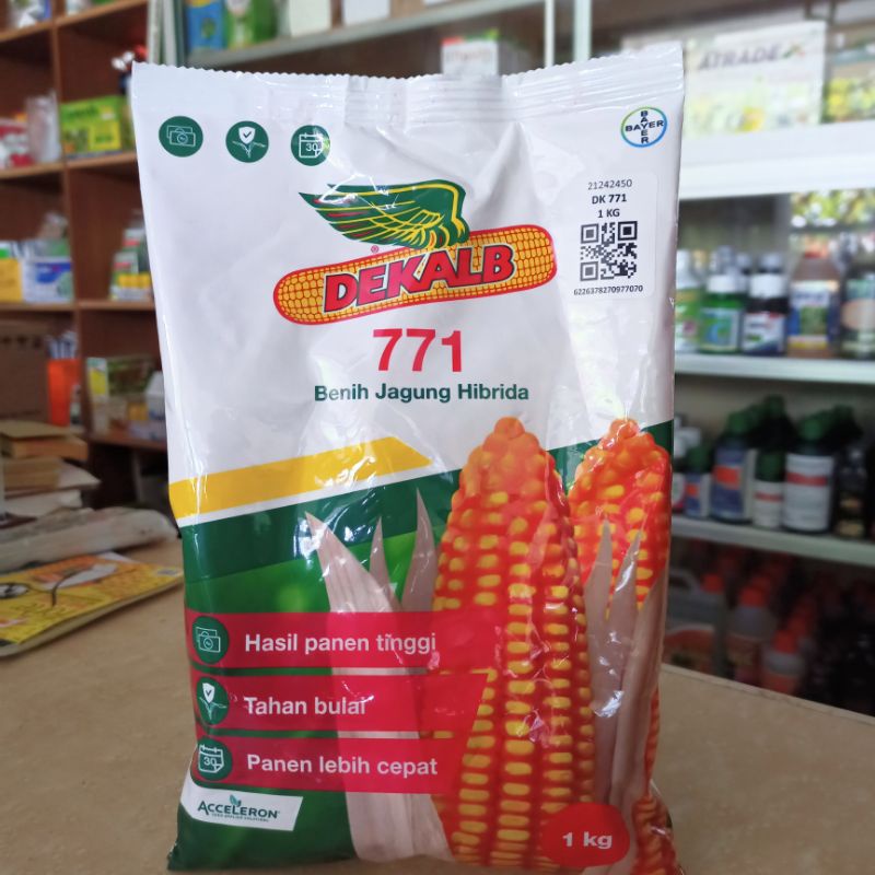 Benih Jagung DK771 1 kg