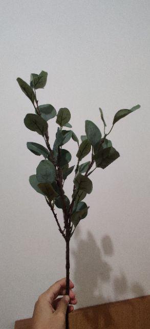 Euca. Eucalyptus Artificial