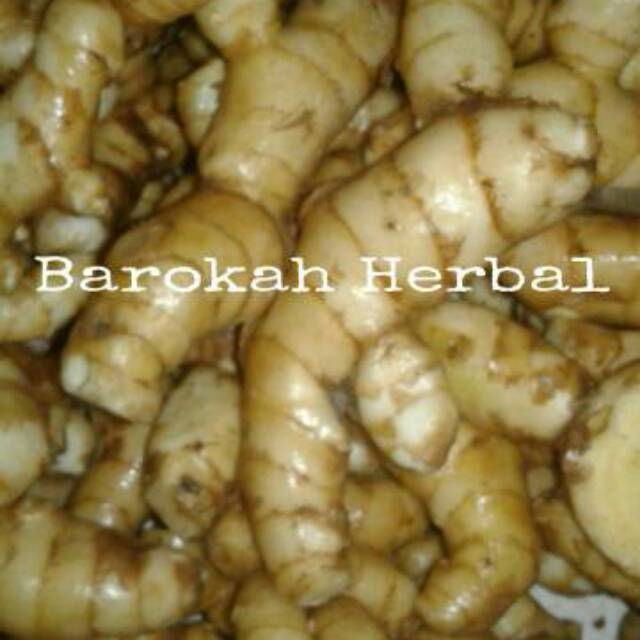 

Kunyit Putih/Temu Putih/Curcuma Zedoaria/Berasa Pahit