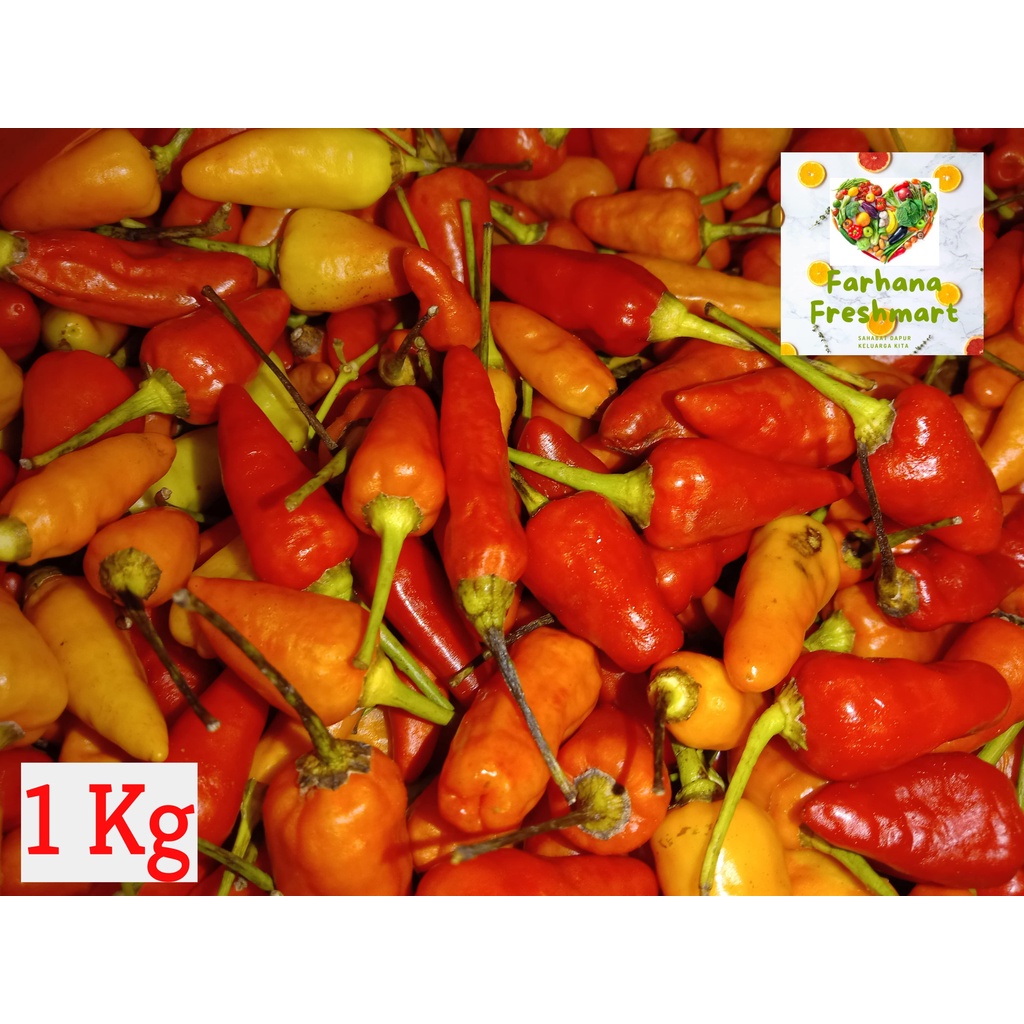 

JUAL MURAH CABE RAWIT MERAH 1 KG