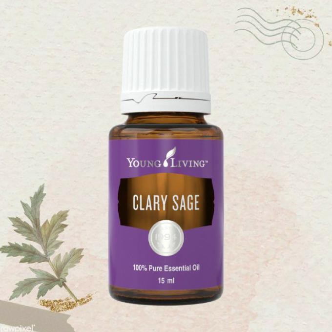 Clary Sage 15Ml Young Living Essential Oil Selarida8