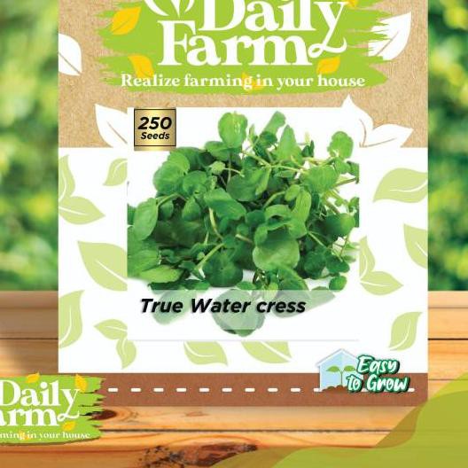 Terbaik Daily Farm - Benih Selada Air True Watercress - Bibit Selada