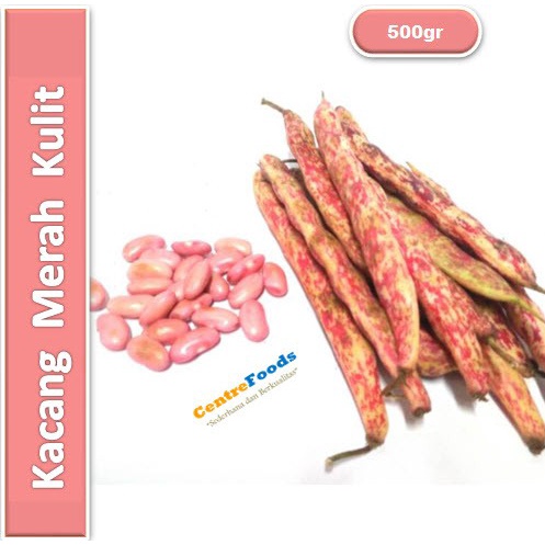 

Kacang Merah Kulit - Kacang Jogo Fresh | 500gr [ Harga Per 0,5 Kg ]