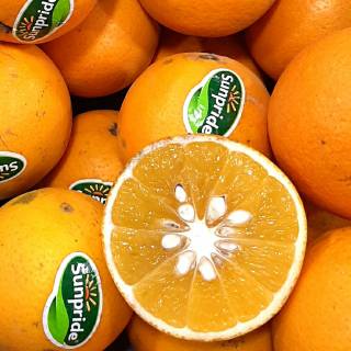 Jeruk baby sunpride 1kg | Shopee Indonesia