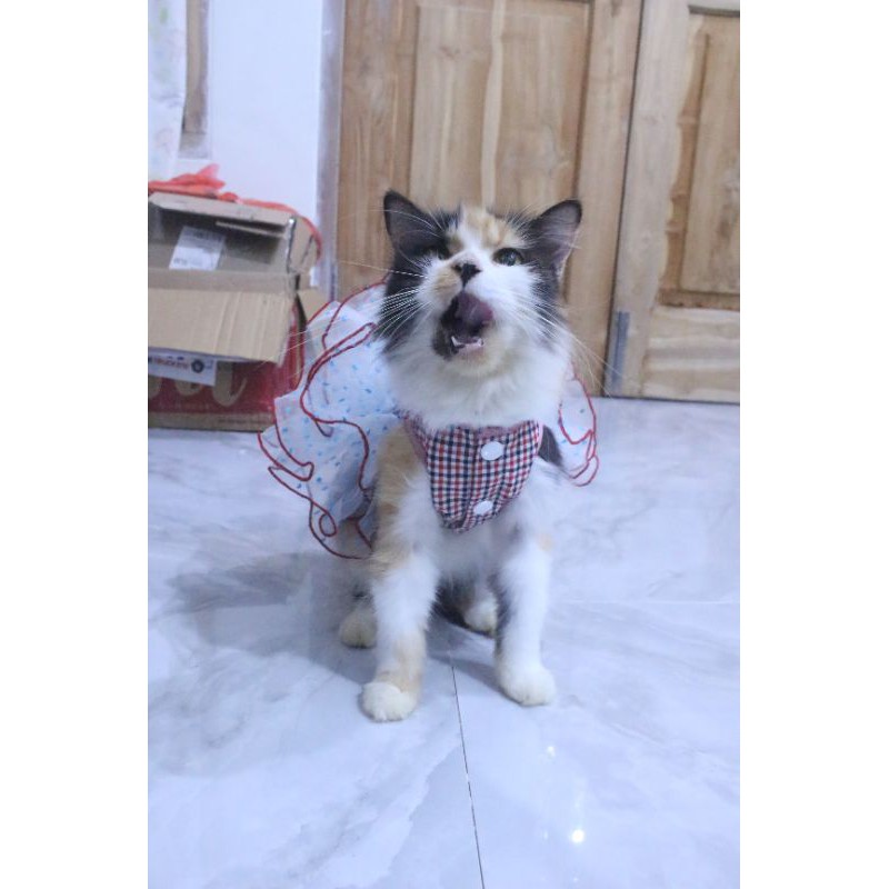 Dress tutu princess #364 lucu untuk kucing dan anjing / baju kucing murah size S M L XL