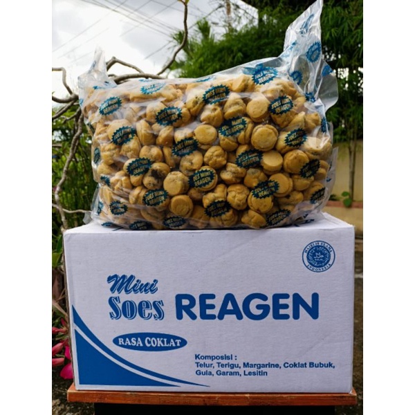 

SOES COKLAT REAGEN