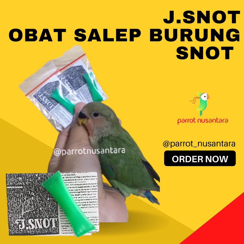 Obat snot burung Jsnot