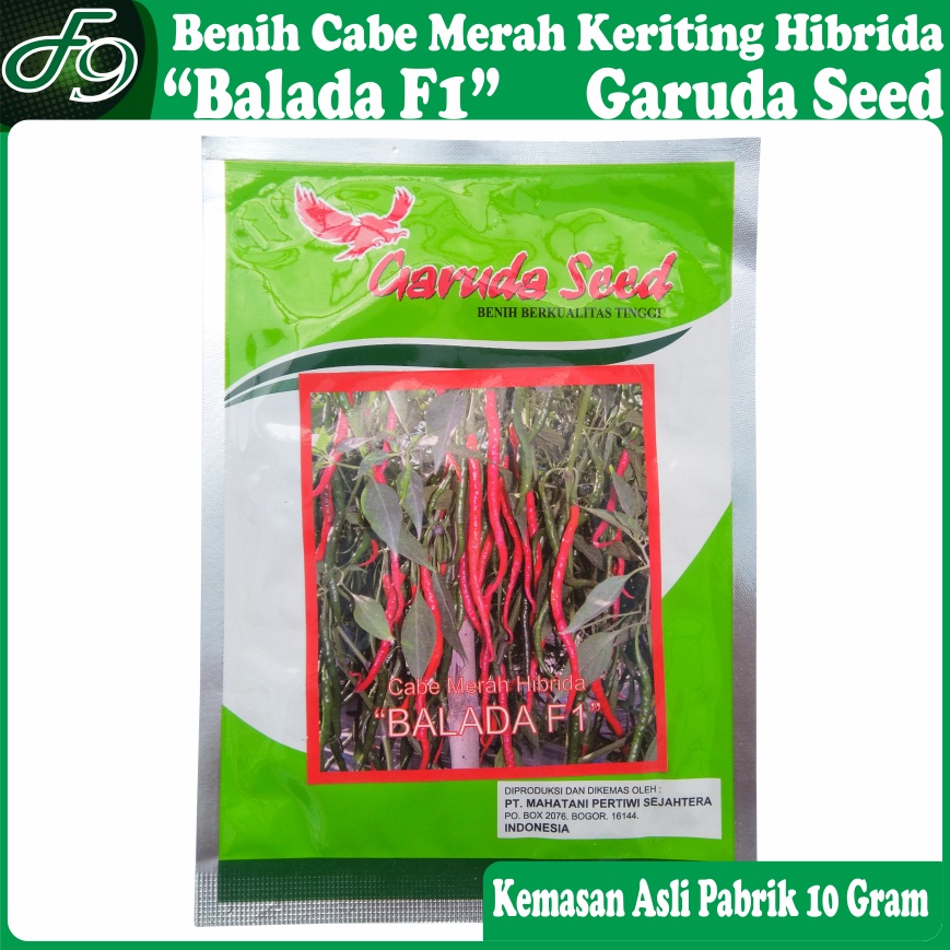 Benih Cabe Merah Keriting Hibrida Balada F1 Bibit Cabai Garuda Seed