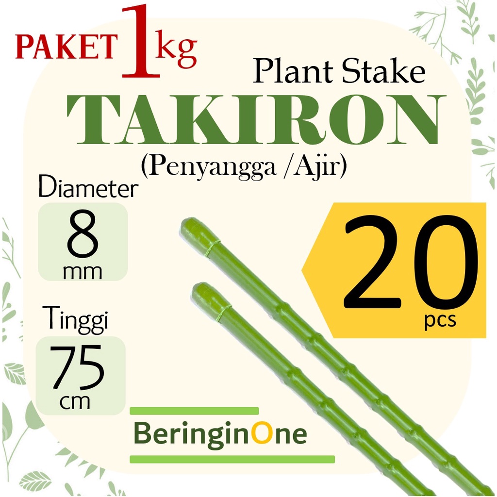 Jual Ajir Penyangga Tanaman Takiron 8 Mm X 75 Cm Paket 1 Kg 20 Pcs Shopee Indonesia 1374