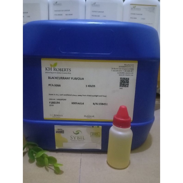 biang essen blackurant repack kh roberts 30 ml