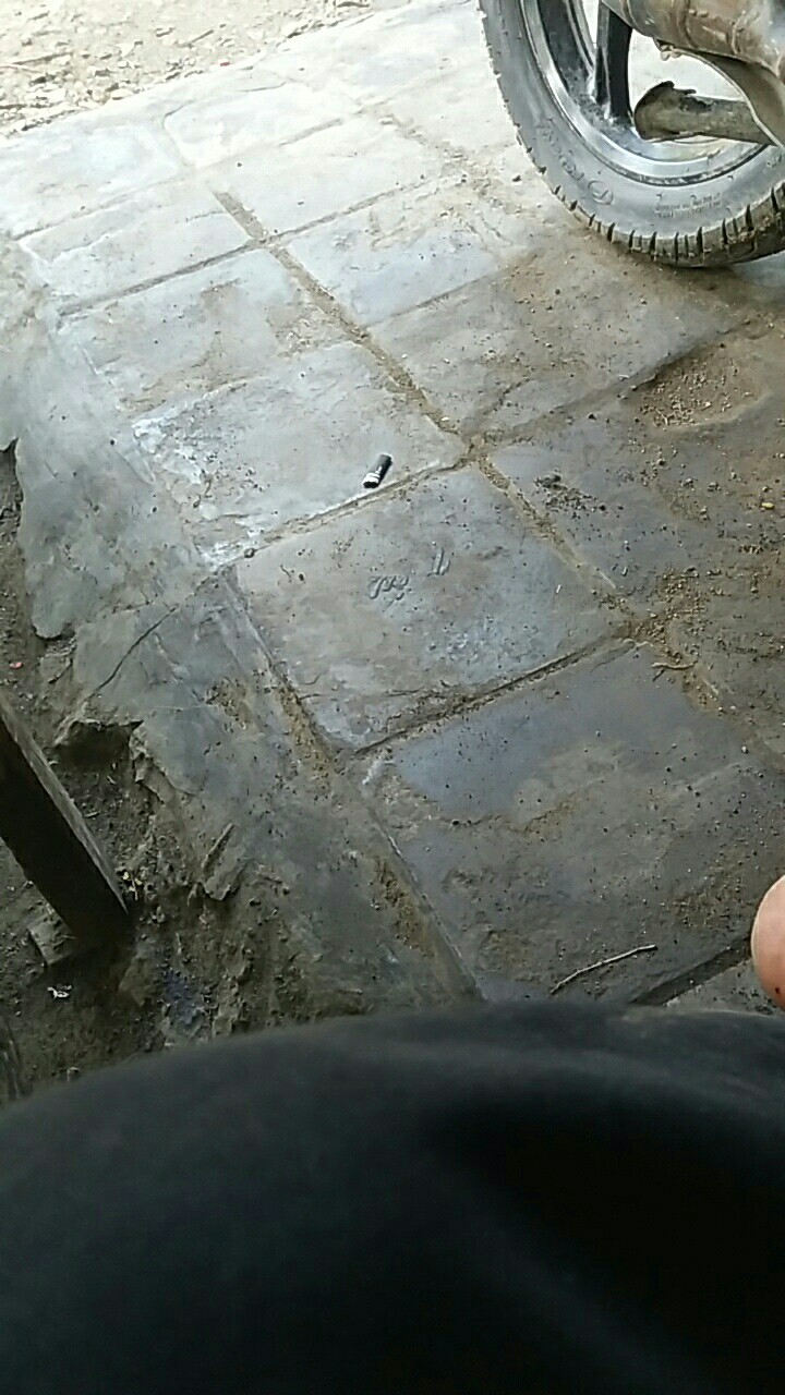 Mata Bor Sikat Kawat 12mm Mata Bor Kawat Mini 12 Mm