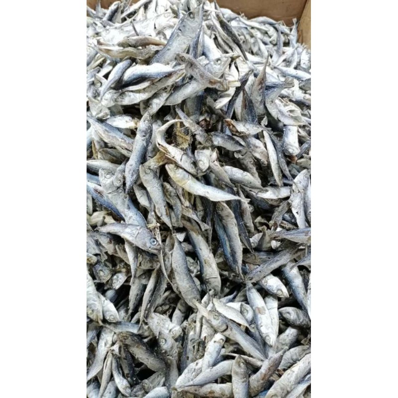 

Ikan Asin Rebus Lepes per 1kg asli dari Medan