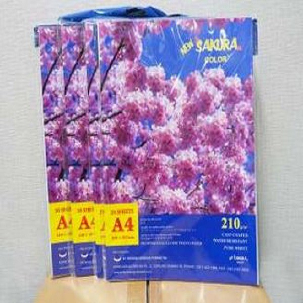 

New Sakura Cast Coated Photo Paper Glossy A4 210 gsm BUNDLE OF 5