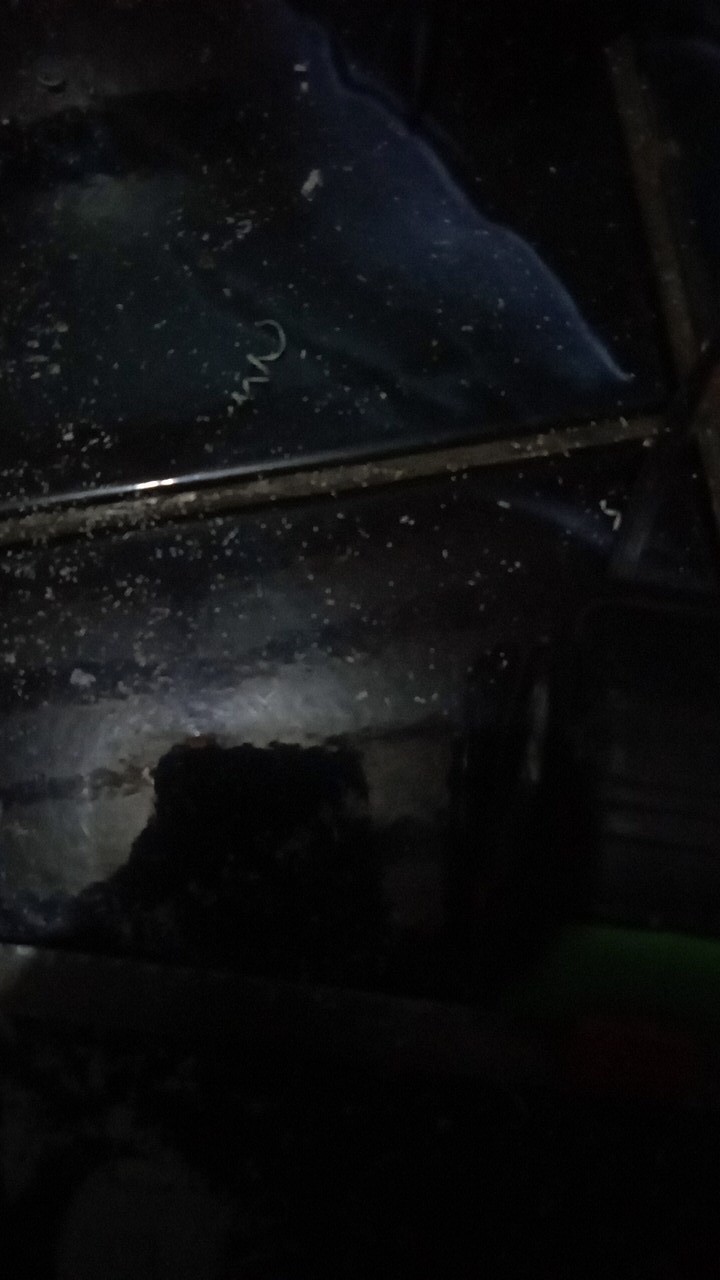 Paket Gosok Dan Poles Kulit Gosok Pak Jenggot Dan Serbuk Intan Co 2