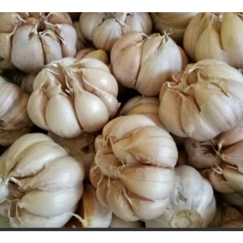 

bawang putih 1kg