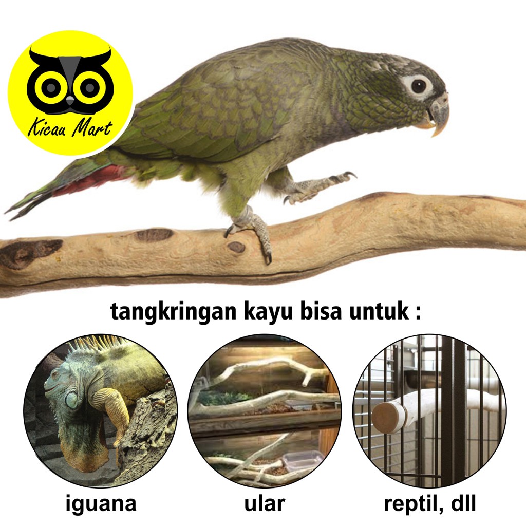 TANGKRINGAN PARROT KAYU BUAT KANDANG BURUNG PAROT NURI AFGREY KAKATUA MACAU ULAR REPTIL 1 METER TP1M