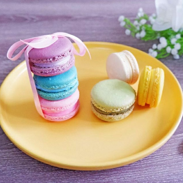 

NOB REGULAR MACARONS 4CM / Macarons Besar