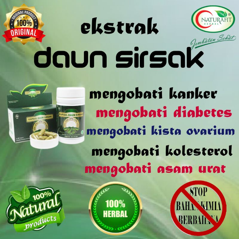 OBAT HERBAL MENURUNKAN KOLESTEROL EKTRAK DAUN SIRSAK 60 KAPSUL - obat herbal buat kolesterol/Obat he