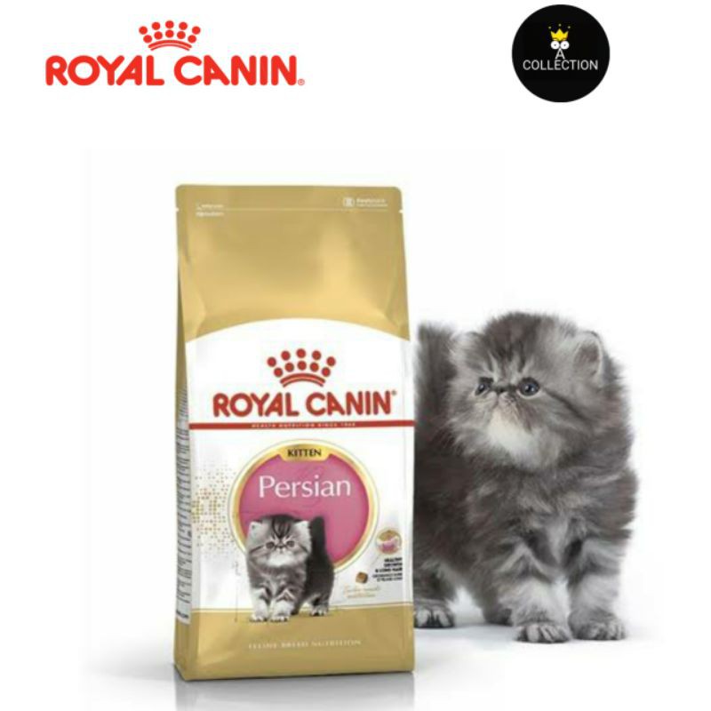 Royal Canin Kitten Persia Makanan Anak Kucing Persia