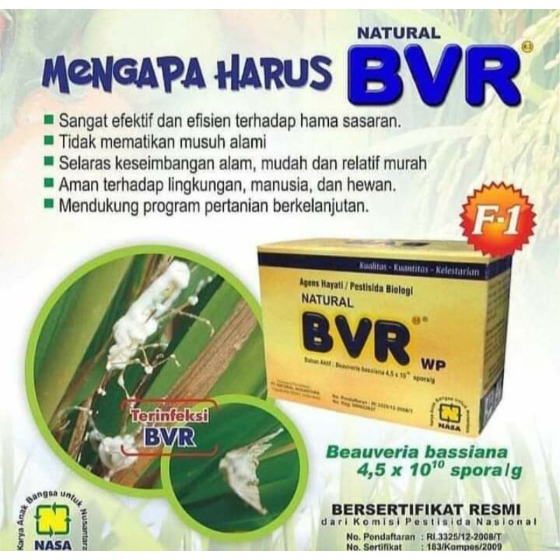 

bvr 100 gram