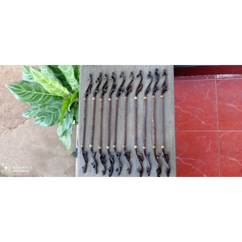 

Tangkringan pleci hitam manis helopet