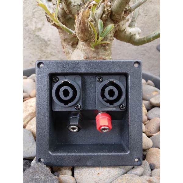 Terminal spikon dan terminal speaker