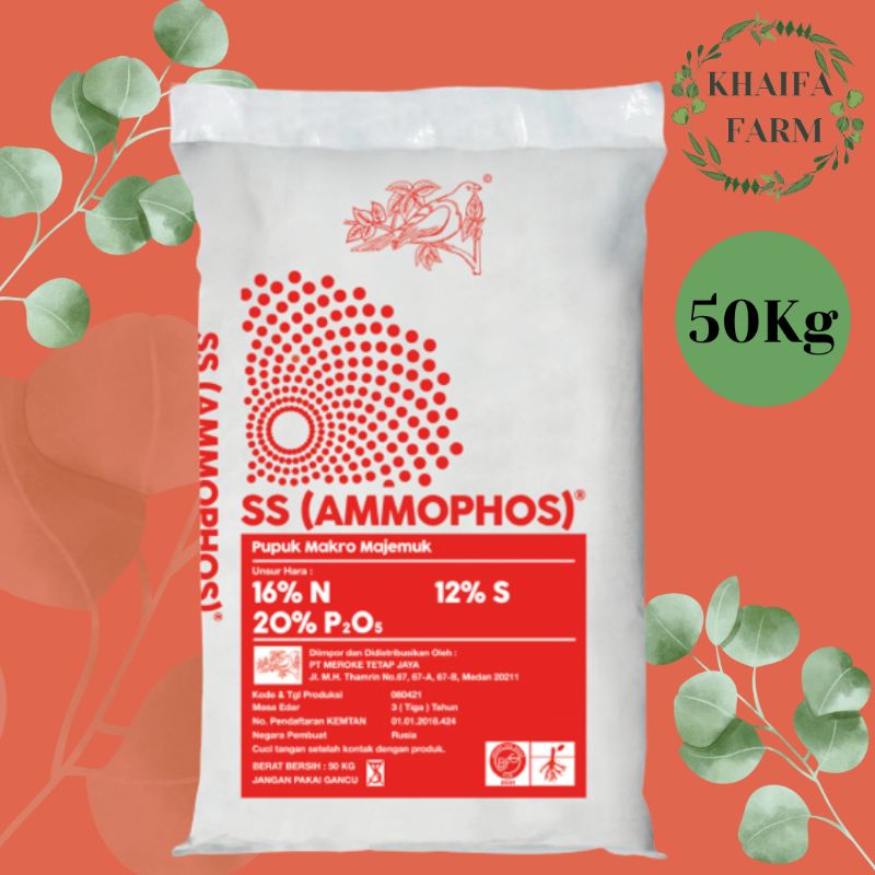 SS Ammophos / Ammonium Phosphate (50kg/zak)