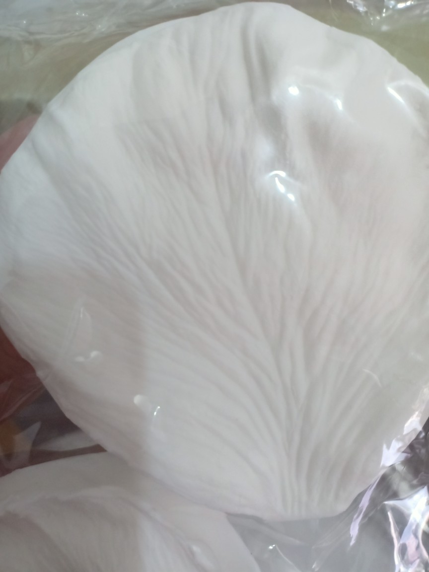 Silicone Mold / Flower Veiner Fondant Wafer Paper Rose Peonies