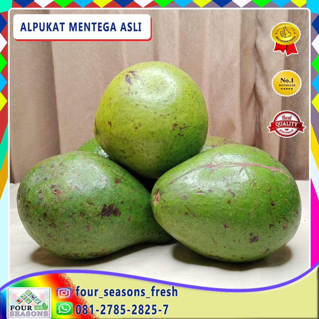 

TERLARIS BUAH ALPUKAT MENTEGA JUMBO CREAMY